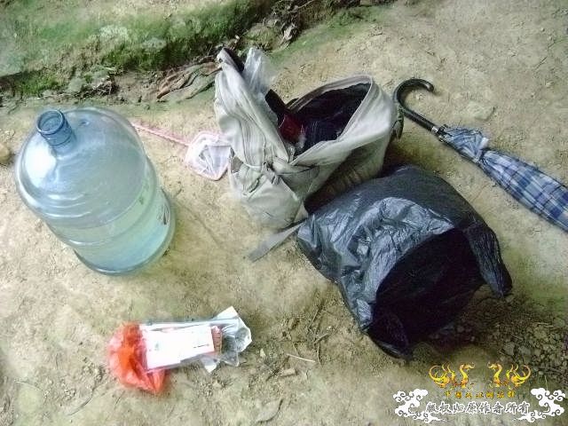 再次新坡游