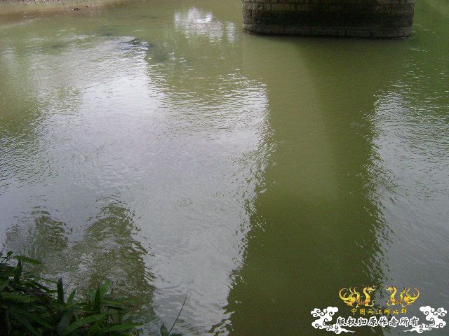 再次新坡游