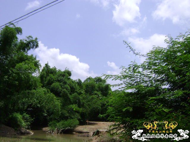 再次新坡游