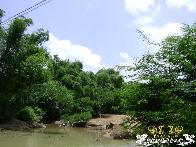 再次新坡游