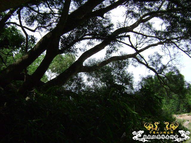 再次新坡游