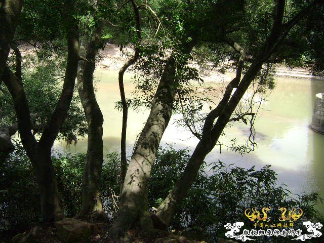 再次新坡游