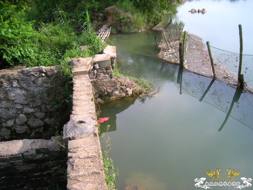 进来看到的是精彩