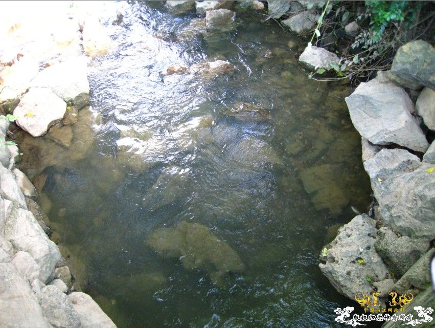 进来看到的是精彩