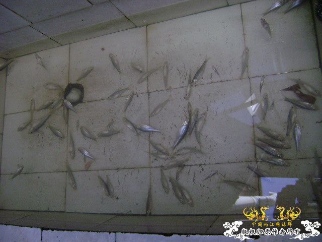 教训