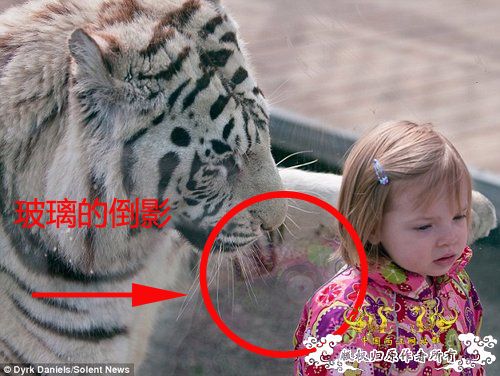 [灌水][转帖]强人