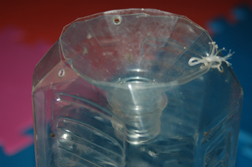 一个2.5升的可乐瓶=53条鱼