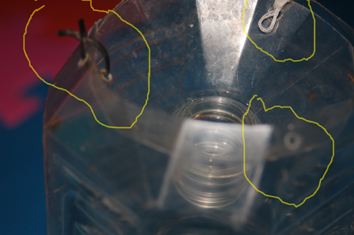 一个2.5升的可乐瓶=53条鱼