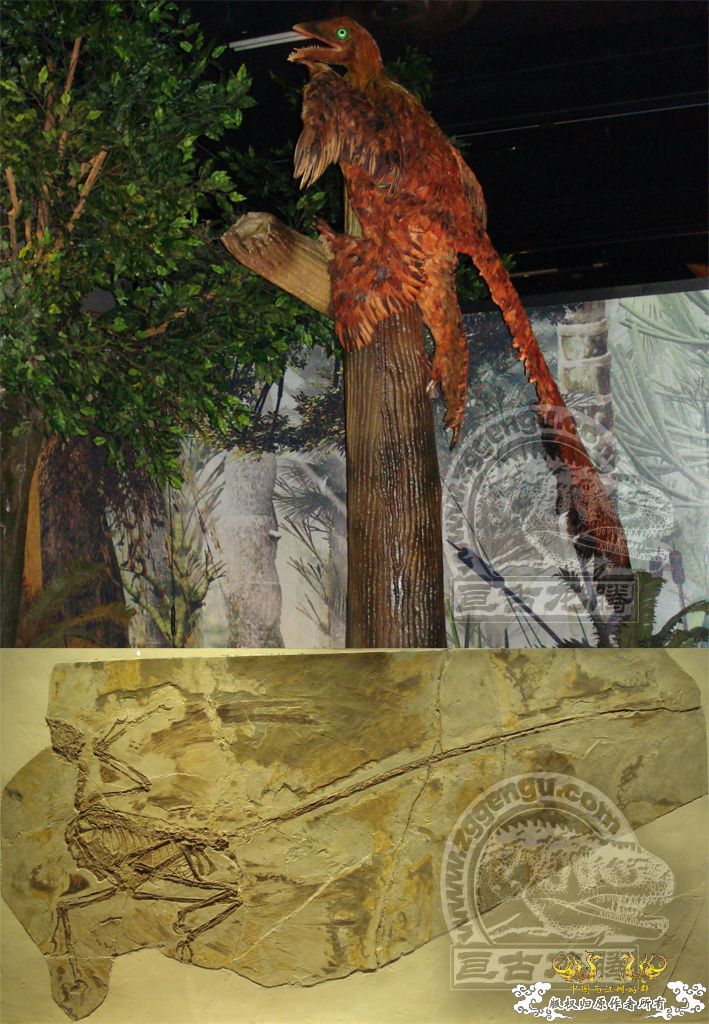 [原创]几个已经灭绝的原生动物