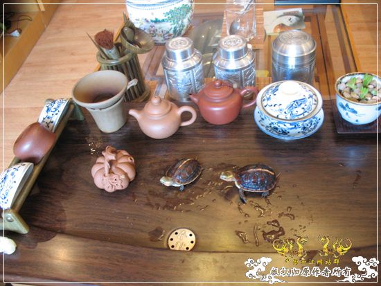 [原创]大隐养龟