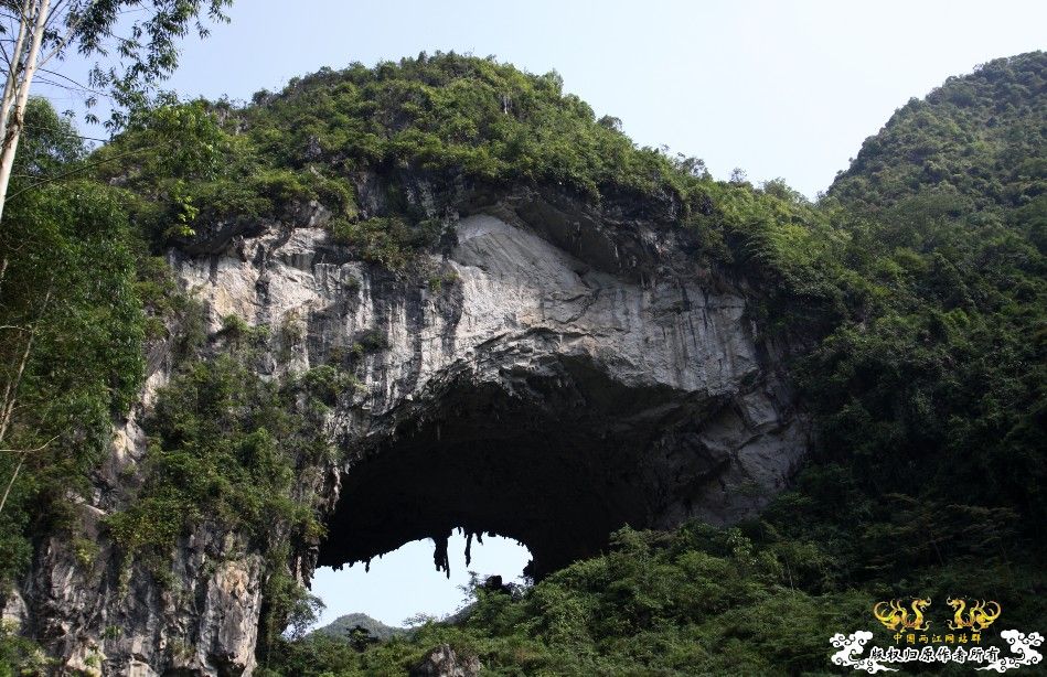 记2009年6月13日广西某山区鱼类考察