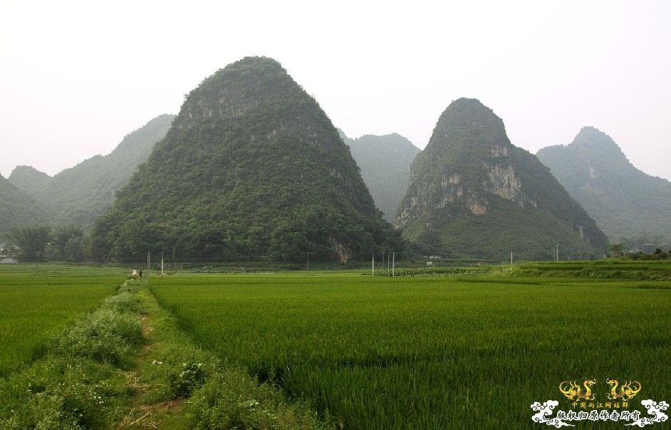 记2009年6月13日广西某山区鱼类考察