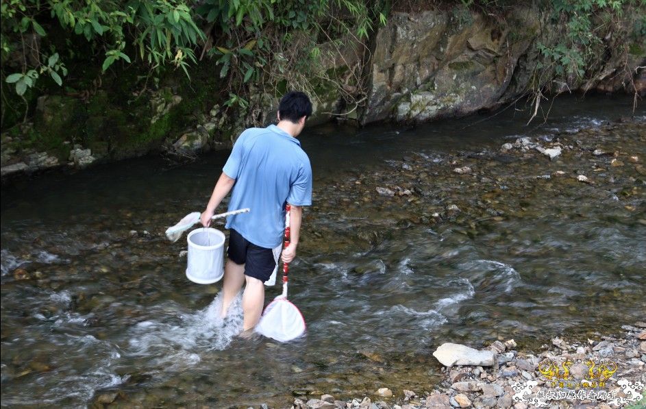 记2009年6月13日广西某山区鱼类考察