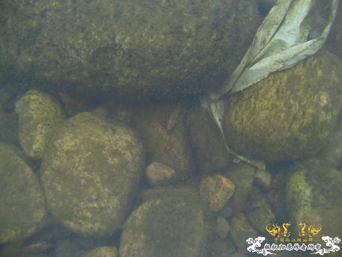 源淓峡谷探寻----------媚水