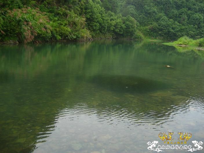 源淓峡谷探寻----------媚水