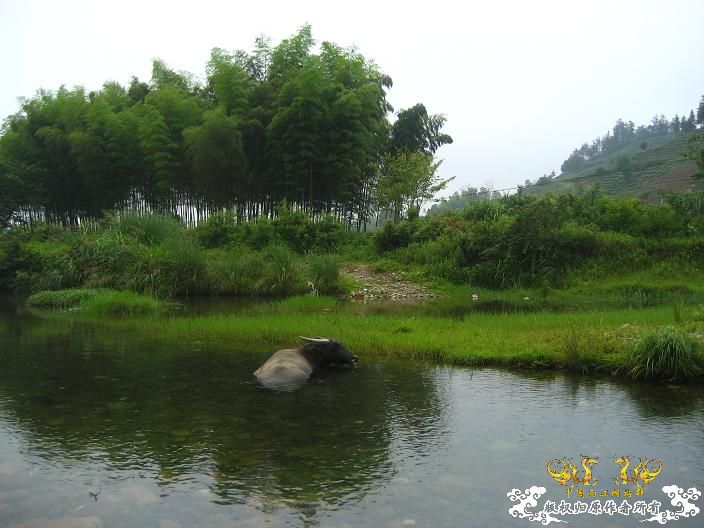 源淓峡谷探寻----------媚水