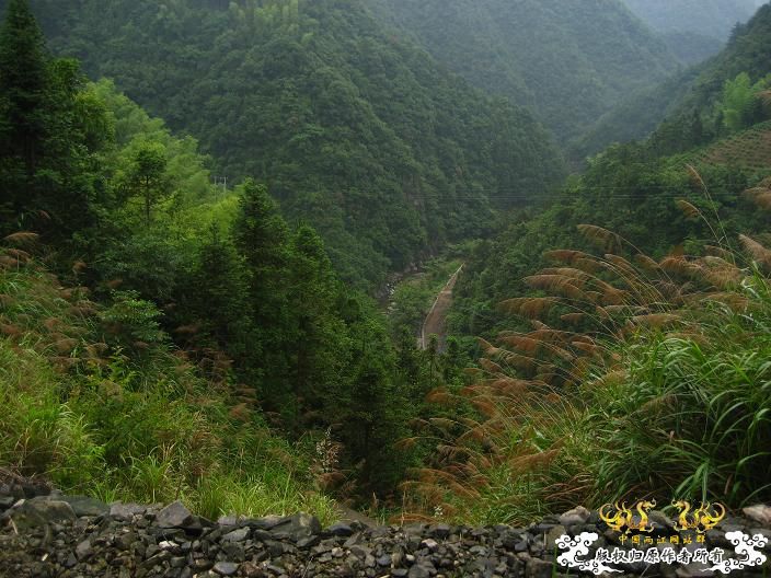 源淓峡谷探寻----------媚水