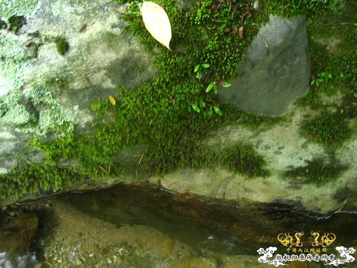 源淓峡谷探寻----------媚水