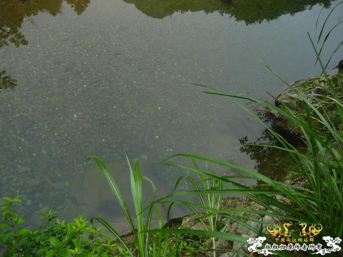 源淓峡谷探寻----------媚水