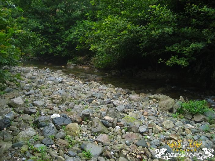 源淓峡谷探寻----------媚水