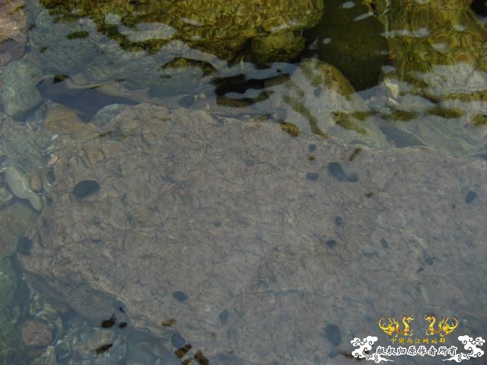 源淓峡谷探寻----------媚水