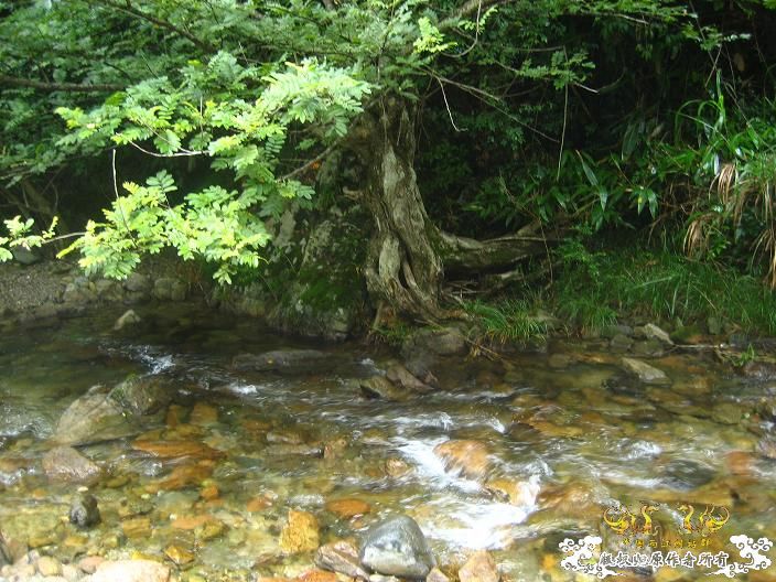 源淓峡谷探寻----------媚水