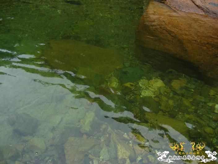 源淓峡谷探寻----------媚水