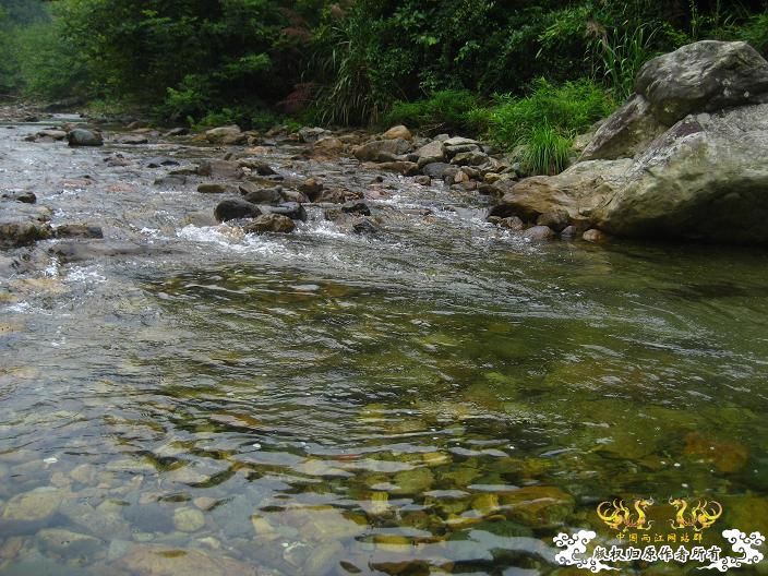 源淓峡谷探寻----------媚水