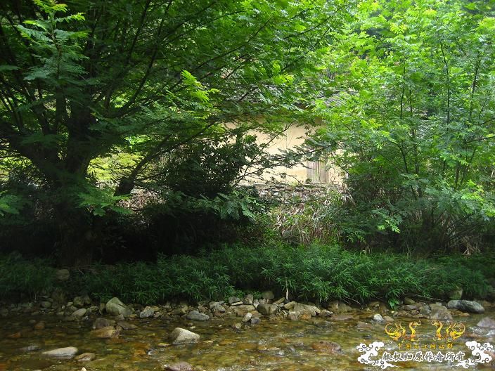 源淓峡谷探寻----------媚水