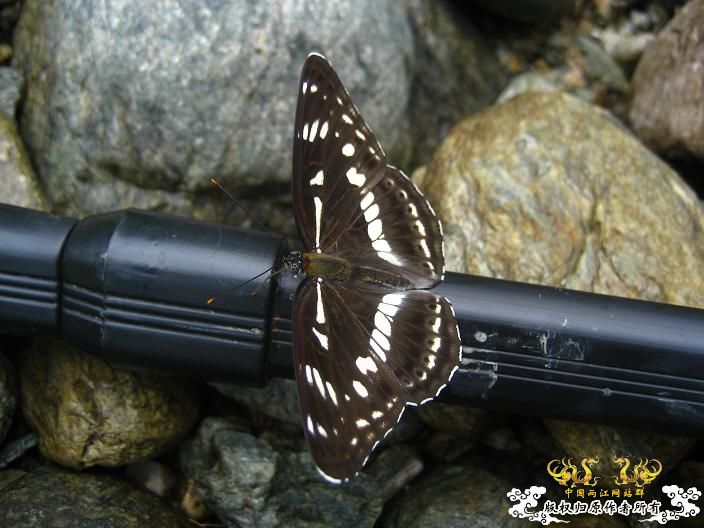 源淓峡谷探寻----------媚水