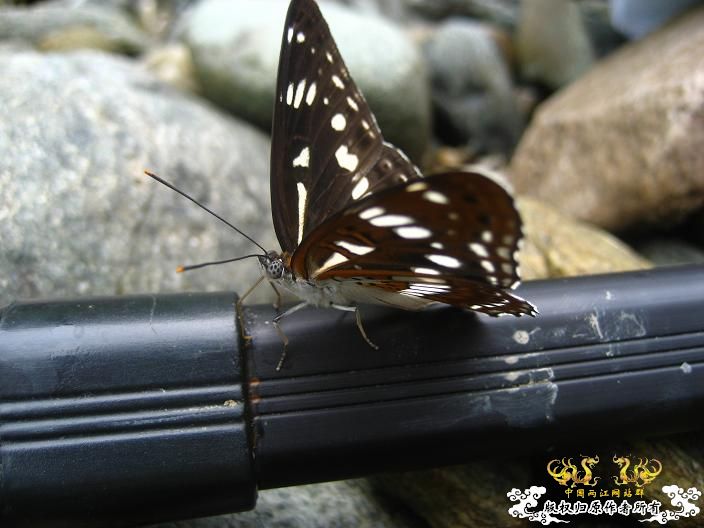 源淓峡谷探寻----------媚水