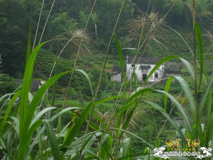 源淓峡谷探寻----------媚水