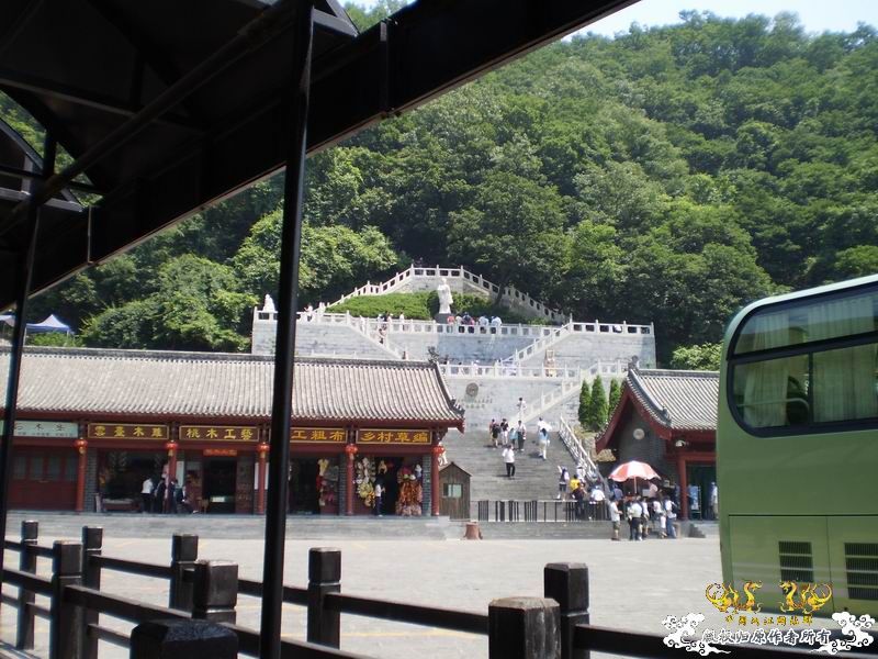 河南云台山野采小鱼求认