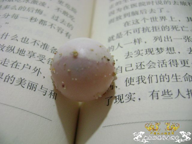 鳖蛋满月