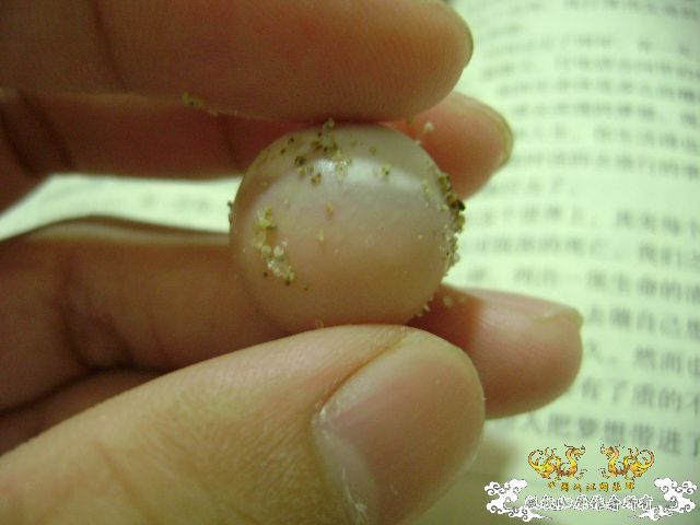 鳖蛋满月
