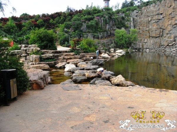 公园~野采~新成员...