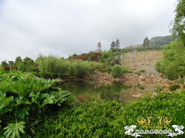 公园~野采~新成员...