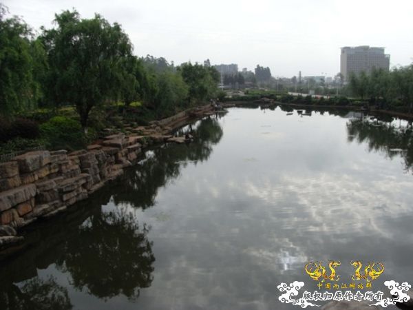 公园~野采~新成员...