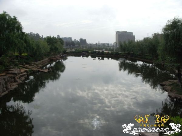 公园~野采~新成员...