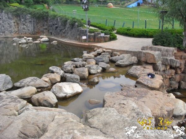 公园~野采~新成员...