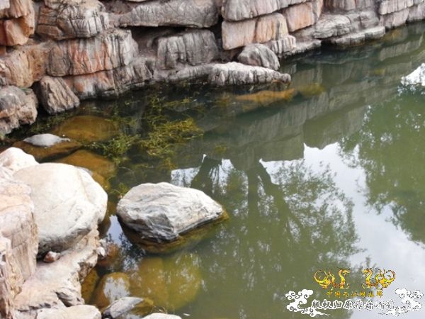 公园~野采~新成员...