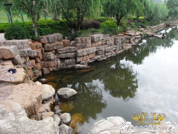 公园~野采~新成员...