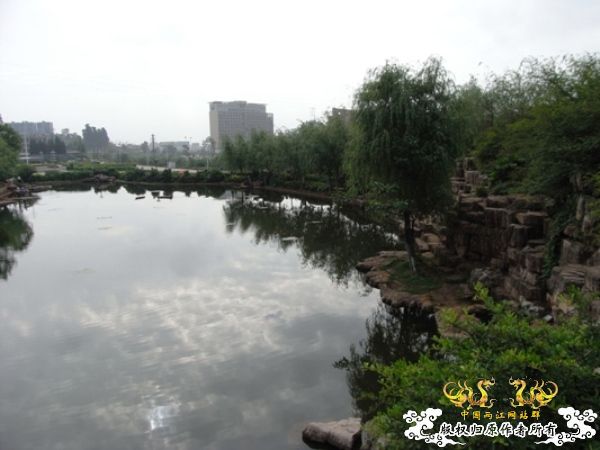 公园~野采~新成员...