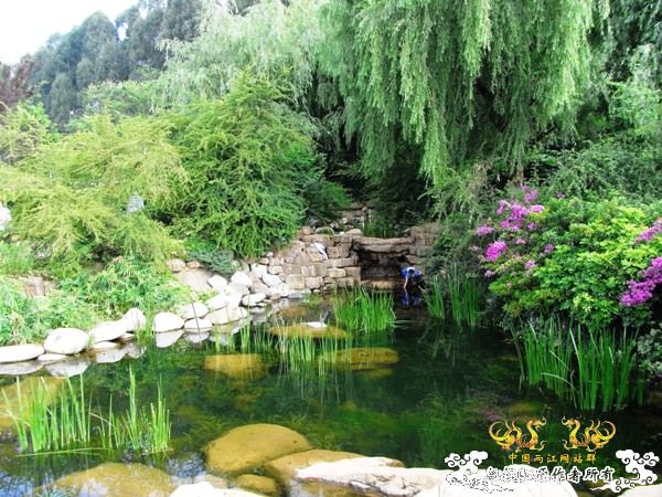 公园~野采~新成员...