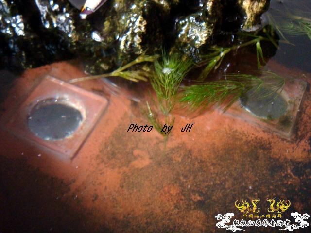 [原创]喷泉小景