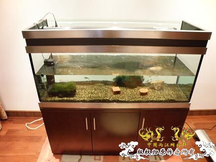 开了两个原生缸