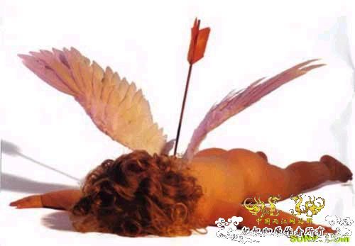 [灌水]鸟人半裸照~~~~~~~~~~~~~~~~~~~~~~~~~~~