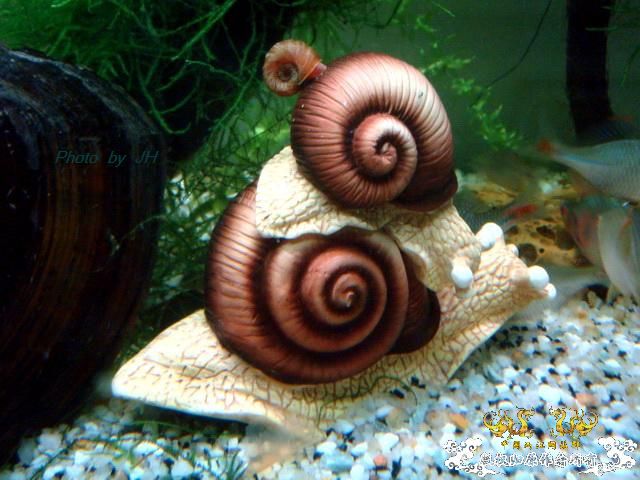 [原创]一组杂项