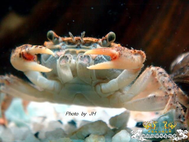 [原创]一组杂项