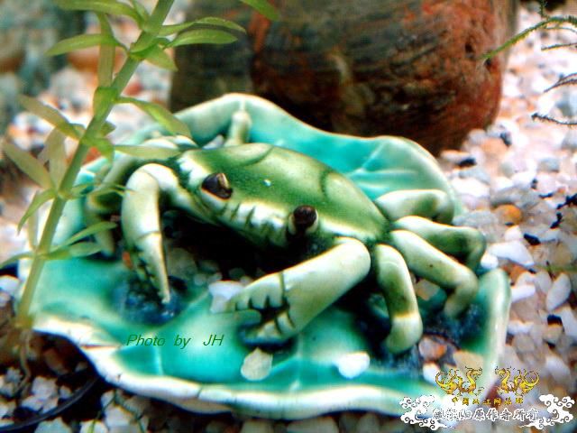 [原创]一组杂项